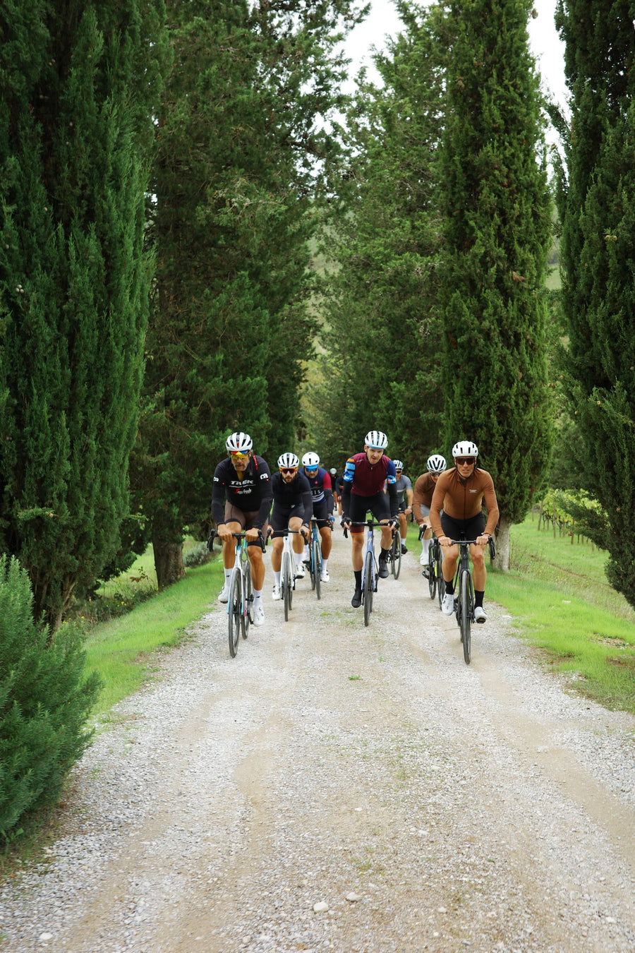 Cycles Régis en Toscane