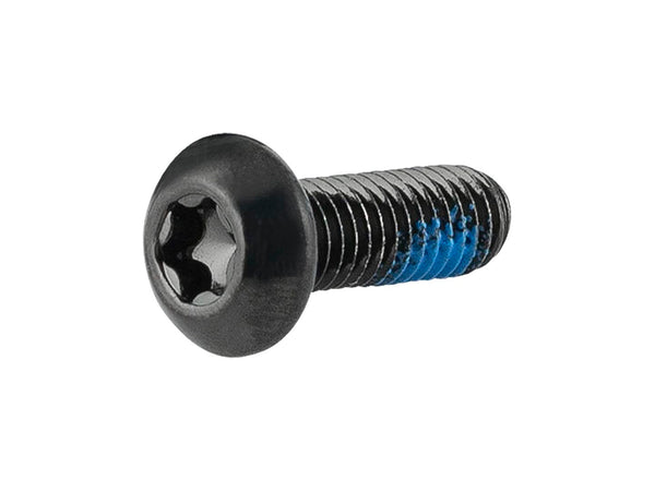 Trek Hex Screw with Thread Locker