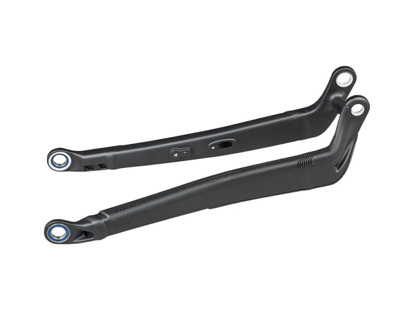 Trek 2019 Powerfly LT Chainstay