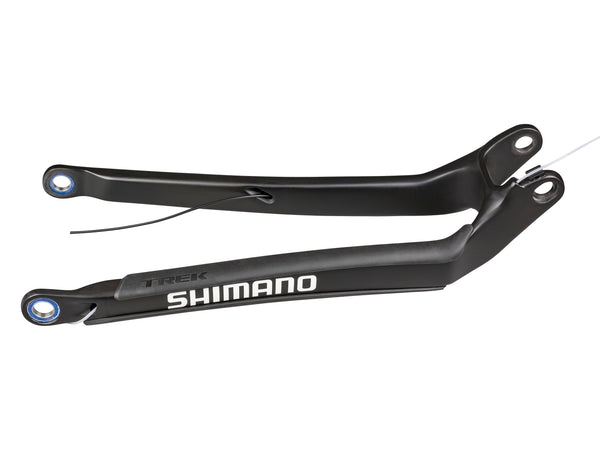 Trek 2018-2021 Session 29 Carbon Chainstay