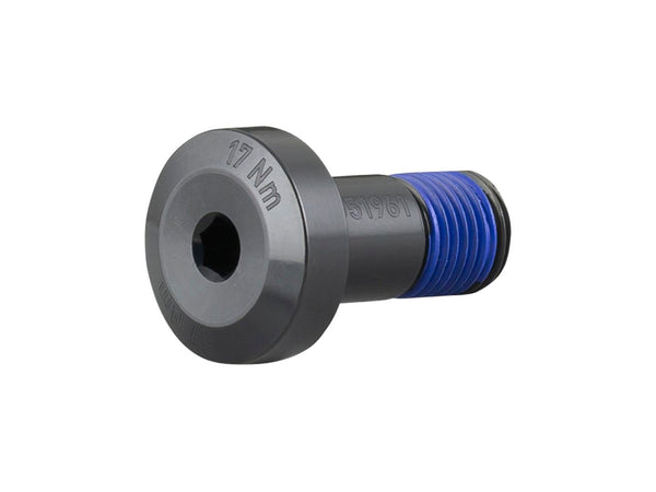 Trek 2022 Session 29 Idler Pulley Bolt