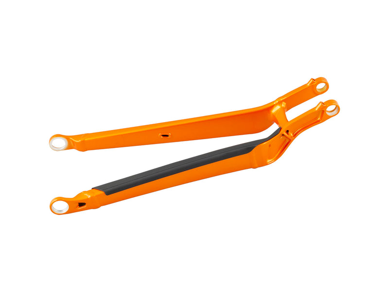 Trek 2020-2021 Top Fuel 29 Aluminum Chainstays