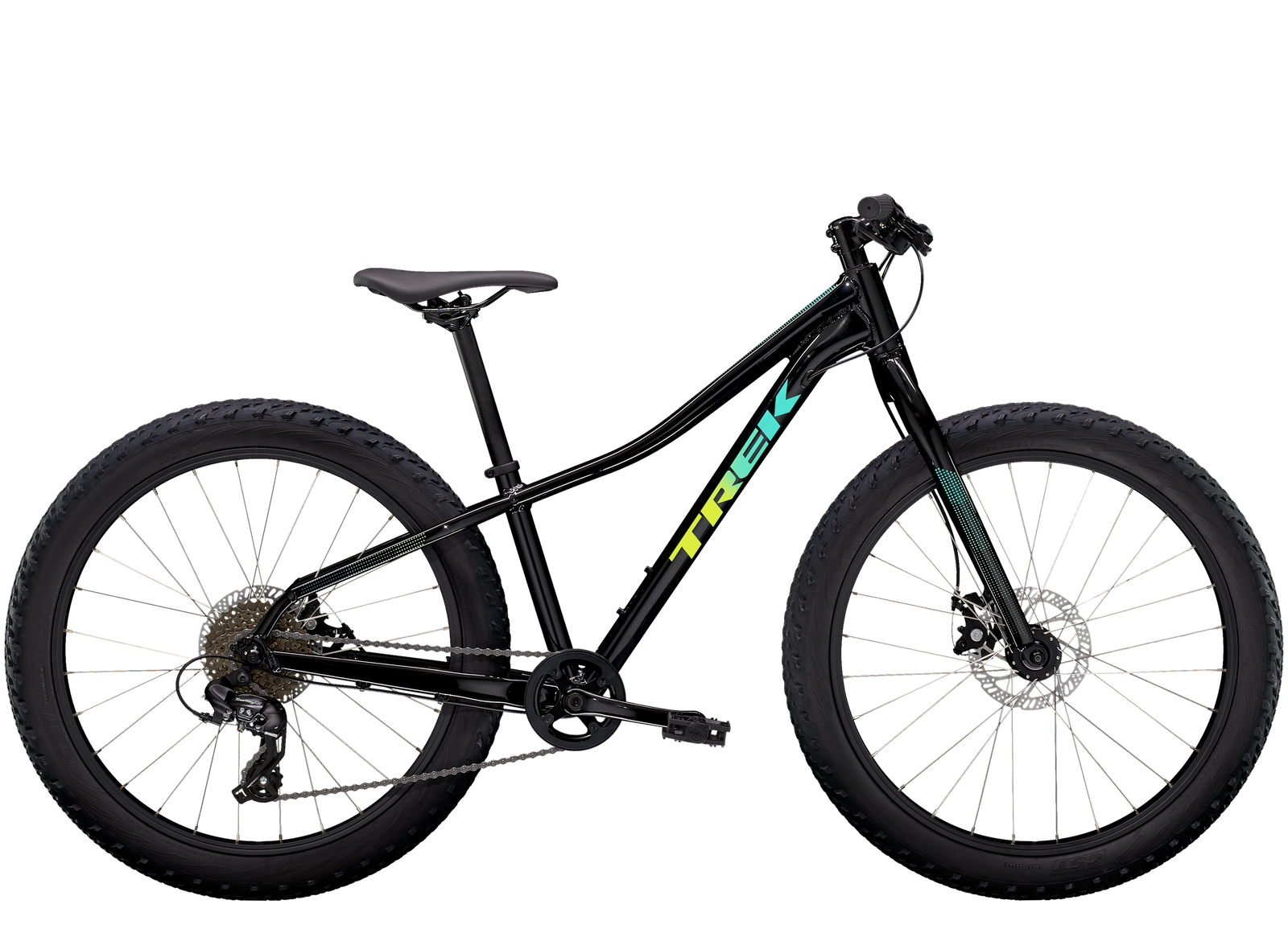 Roscoe 24 Cycles Regis